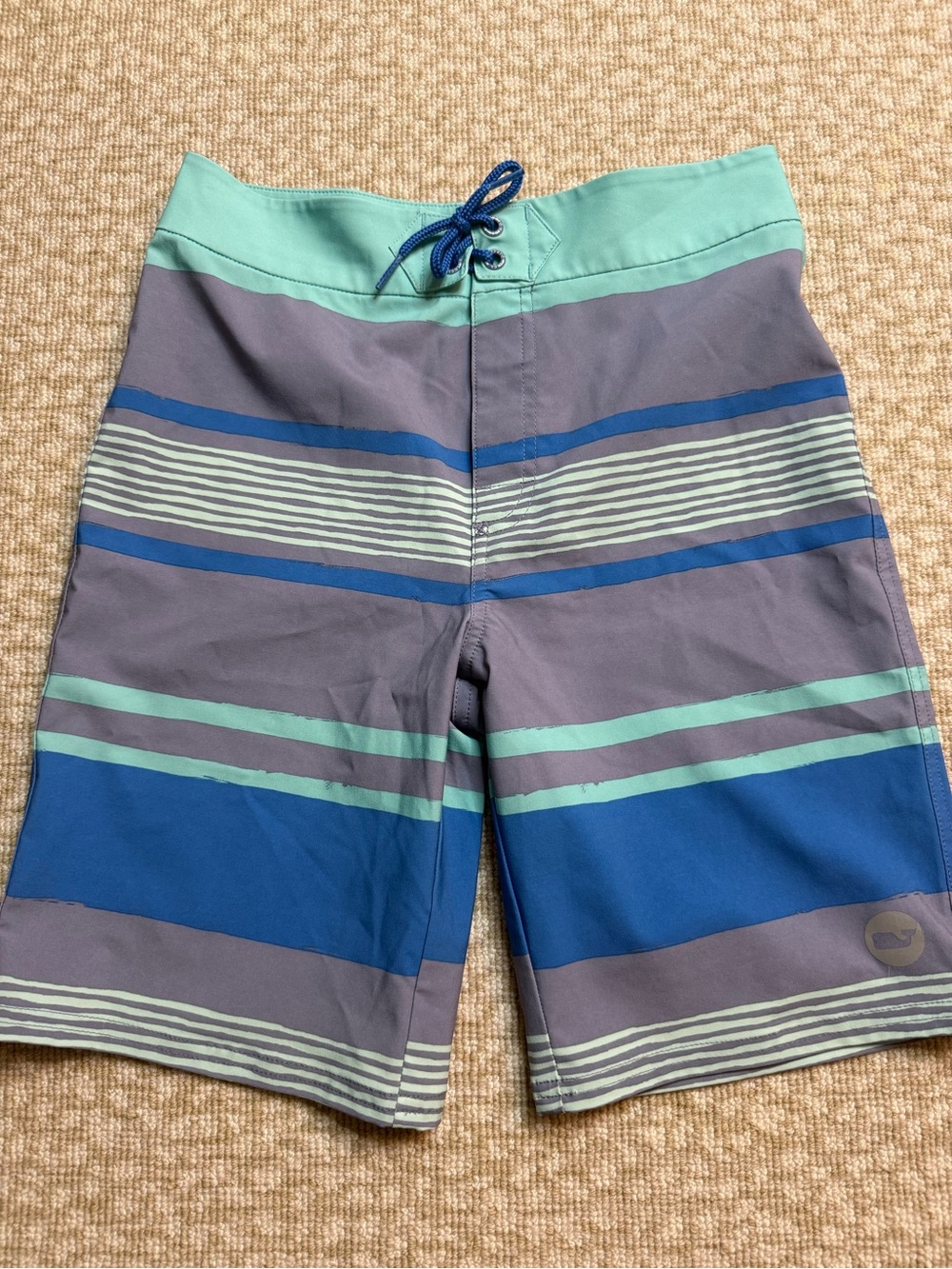 Boys Striped Swim Trunks in Teal & Blue